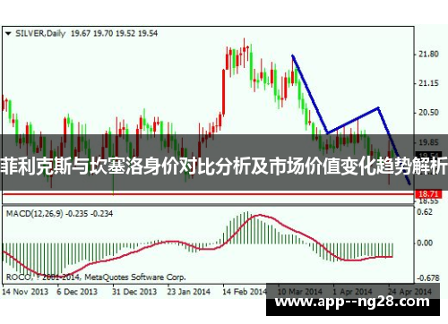 菲利克斯与坎塞洛身价对比分析及市场价值变化趋势解析