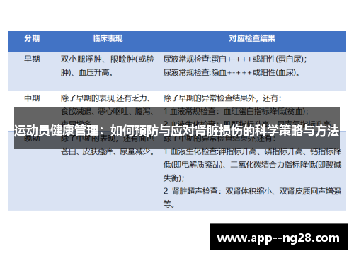运动员健康管理:如何预防与应对肾脏损伤的科学策略与方法 运动员健康管理:如何预防与应对肾脏损伤的科学策略与方法