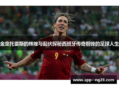 金童托雷斯的辉煌与起伏探秘西班牙传奇前锋的足球人生
