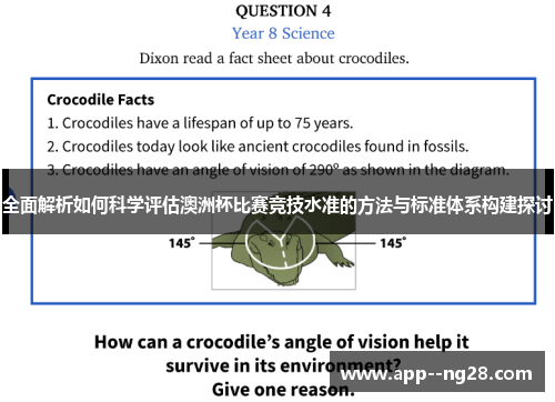 全面解析如何科学评估澳洲杯比赛竞技水准的方法与标准体系构建探讨 全面解析如何科学评估澳洲杯比赛竞技水准的方法与标准体系构建探讨