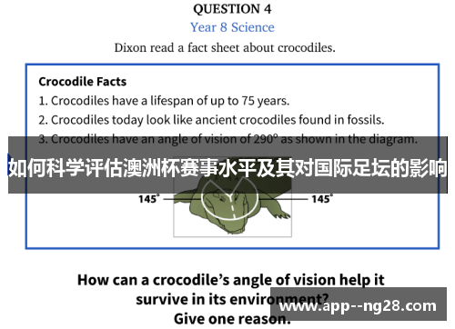 如何科学评估澳洲杯赛事水平及其对国际足坛的影响