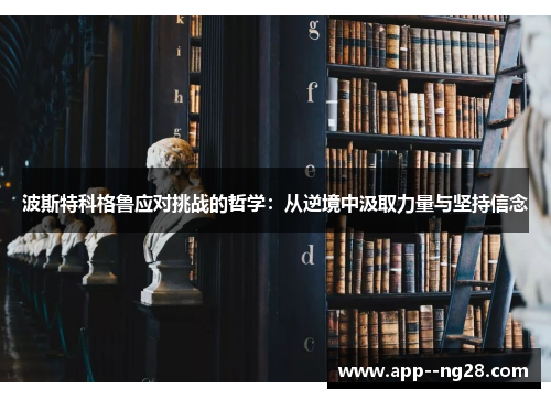 波斯特科格鲁应对挑战的哲学：从逆境中汲取力量与坚持信念